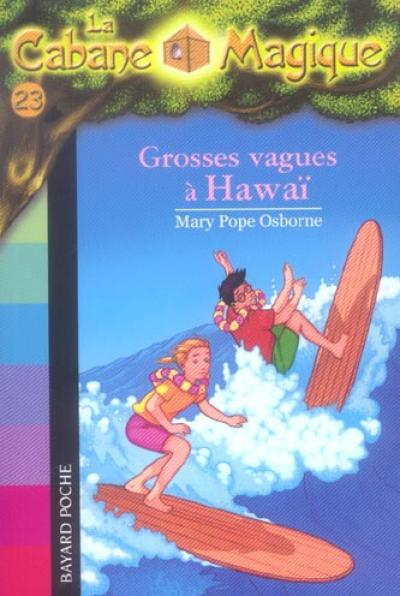 Grosses vagues à Hawaï