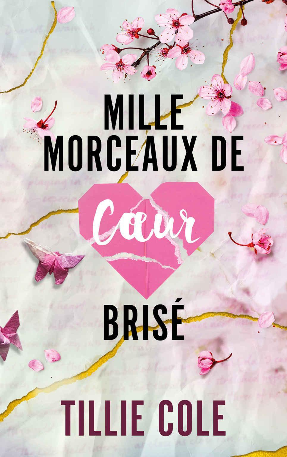 Mille baisers pour un garçon T2 : Mille morceaux de coeur brisé
