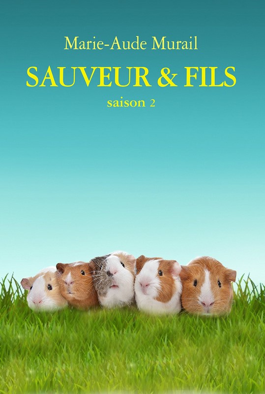Sauveur et Fils Saison 2