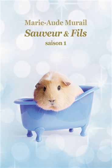 Sauveur et fils - saison 1